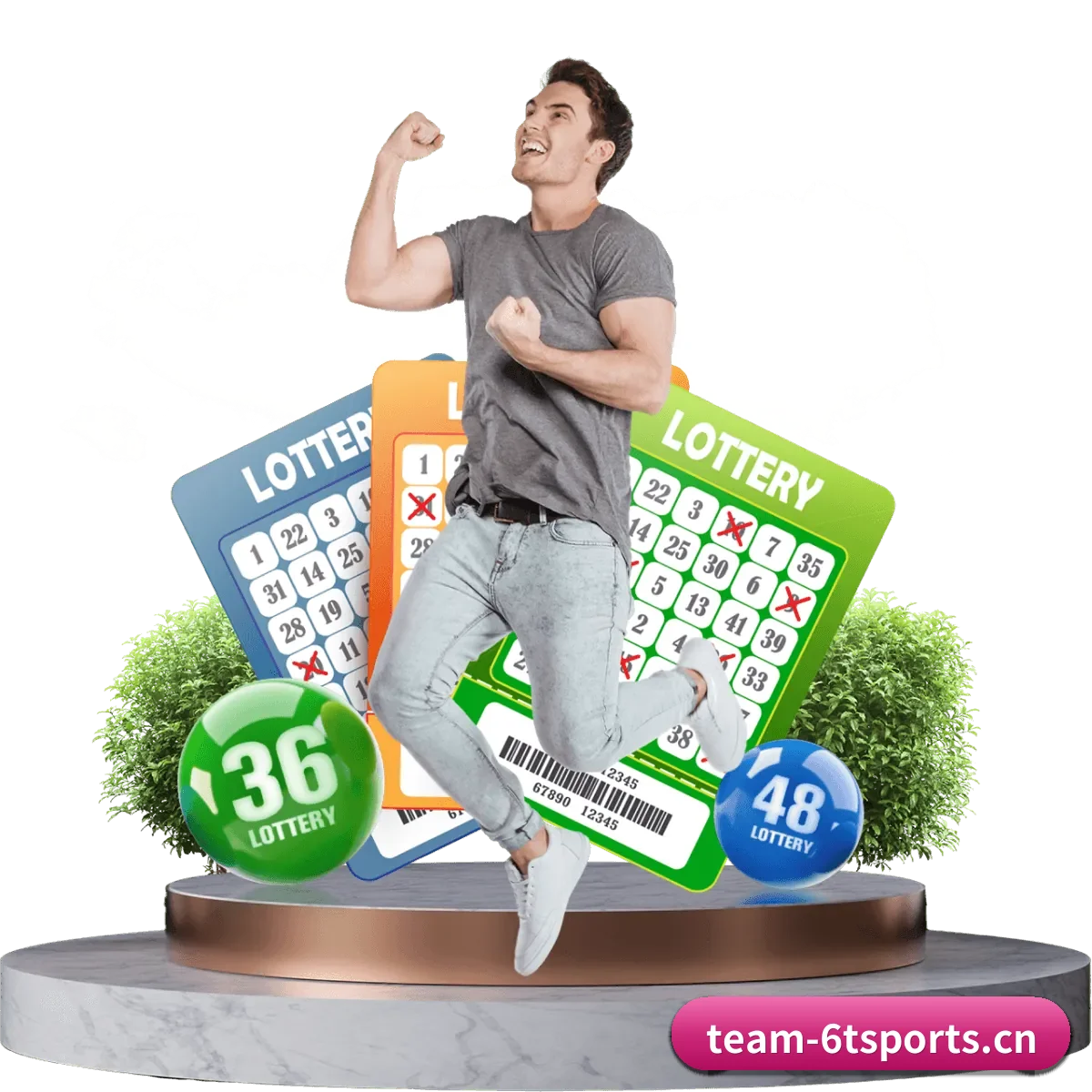 6t体育 APP