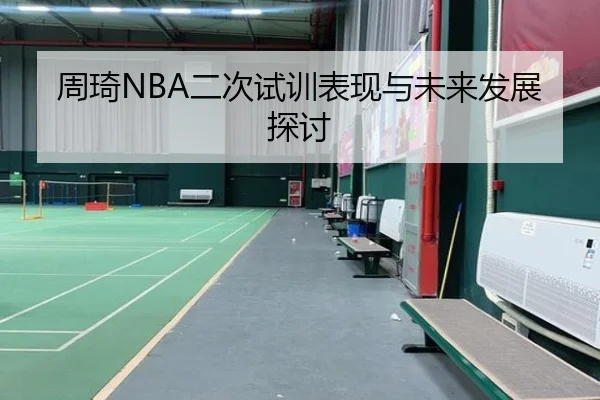 周琦NBA二次试训表现与未来发展探讨